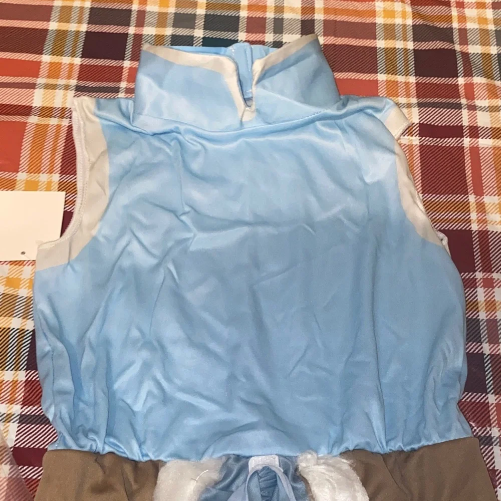 The Legend of Korra Kids Rubies Halloween Costume - Blue and Brown Anime Con